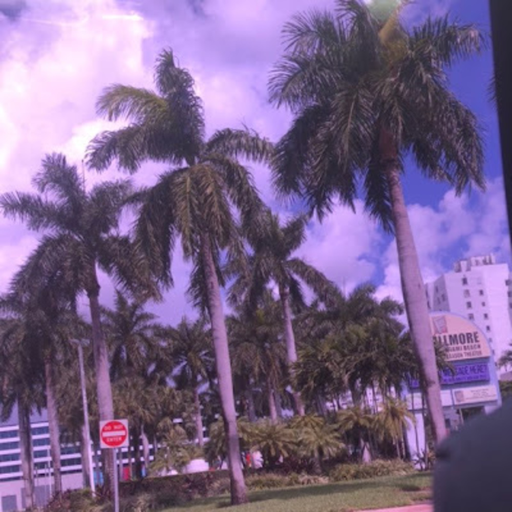 Meet your Posher, Diana